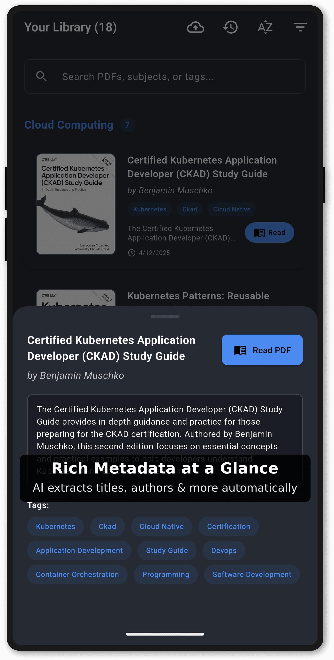Book metadata view showing detailed information about a PDF